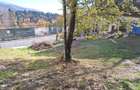 Teren Sinaia in suprafata de 532 m2 - 2
