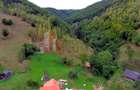 Teren de investiție în Moieciu, lângă Castelul Bran – 11.381 mp, vedere Bucegi - 12