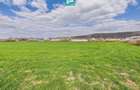 Teren extravilan, 1 ha, în orașul Sebiș, Arad - 1