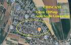 Chiscani zona Scolii Mici Teren 1205 mp cu 16,5m deschidere stradala - 1