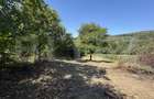 Teren de vanzare, 1600 mp, zona Schela - 4