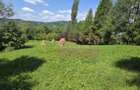 Teren intravilan 3159 mp de vanzare in Comarnic - 2