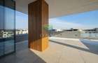 The american dream | zona Ambasadei Americii