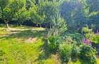 Vila P+1+5600 mp teren, proprietate de 5 km de oras - 2