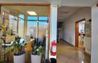 Hale Industriale 5065 mp de vanzare Str. Bradului - Bacau - 9