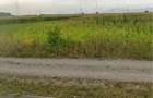 Teren Intravilan Calea Bucuresti 8.752 mp