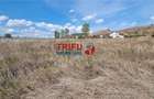 Teren intravilan 2100 mp de vanzare in Teleac la asfalt cu toate utilitatile - 2