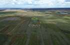 Teren  Intravilan - Giurgiu || Comuna Bulbucata -  15,4 Ha