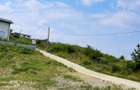 Teren Intravilan Tomești Iasi, 430 mp cu Utilități - Curent, Apă, Canalizare, Vedere Panoramica și Zonă Nouă de Case - 3
