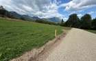 Teren intravilan  1000 mp zona Bran-Tohanita,langa padurela 10 km de Rasnov - 11