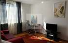 Apartament cu 2 camere - zona Cornișa, aproape de UMFST - 3