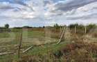 Teren extravilan, 1050 mp, zona Lucian Blaga - 1
