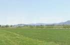 Teren extravilan arabil de vânzare – 17.400 mp în comuna Ungra, județul Brașov - 2