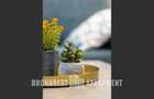 Apartament 2 Camere Calea Victoriei 139 - 14