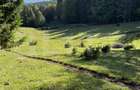 Teren intravilan+extravilan in suprafata de 39 ari,zona Colibita