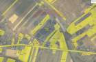 Teren intravilan 2,036mp Pădureni-Șendriceni, Botoșani - 2