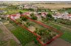 RECO Proprietate cu 2 case si teren mare in Girisu de Cris - 37