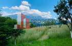 Vilă 340 mp Bran | Teren 5500 mp | 6 dormitoare cu băi proprii - 26
