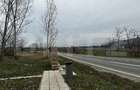 Teren extravilan 6200mp zona Rahau - 2