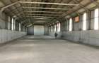 Teren 4,7 ha | Hală 770 mp | Cartojani, Giurgiu | Acces TIR