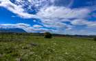 Teren Bran Zarnesti 3 km Castelul Bran 25 km Brasov - 13