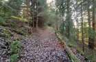 Eco Retreat Land in Apuseni Romania - Poiana Horea - 19