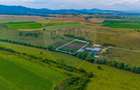 Oportunitate pentru fermieri: 10.800 mp teren arabil în Rotbav, Brașov - 15