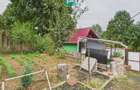 Căsuță de vacanță pentru pescari în Lipova - 3