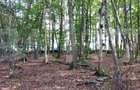 Teren intravilan 3387 mp, zona Faget, pentru agrement! - 2