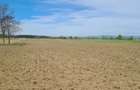 TEREN AGRICOL EXTRAVILAN - RECI - COVASNA - 2