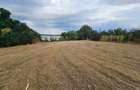 Vanzare Teren Buftea | Crevedia | Samurcasi | Iesire catre LAC - 9