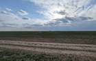 Loturi intravilane 300–500 mp, la 10 km de Centura Sud | Rate fără avans - 3