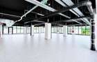 Spatiu Comercial Showroom 425mp Himson Aurel Vlaicu - 5