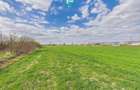 Teren extravilan, 1 ha, în orașul Sebiș, Arad - 8