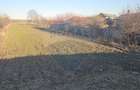 Teren intravilan/extravilan, Strada Răsăritului, com. Filipesti - 4