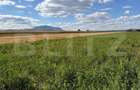 Teren intravilan, Puz aprobat parcele intre 500 - 700 mp