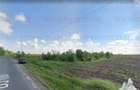 Teren de vanzare Branesti, iesire la Autostrada Soarelui - 8