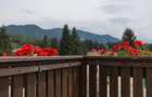 Apartament 2 camere Grand Chalet - 1