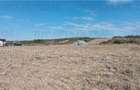 Ferma 3,3ha, din care 2,5ha intravilan, vila 7 camere, D+P+E+M, casa pentru munc - 6