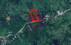 Teren intravilan de vanzare in Telega - 13