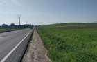 Teren Extravilan Parcelabil Front DN13 - 2