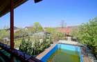 VILA CU PISCINA SCROVISTEA, IDEALA CAMIN DE BATRANI - 2