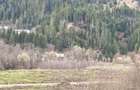 Teren intravilan, 22600mp, zona Manastirea Sucevita - 2