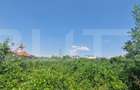 Teren intravilan, 9600 mp, zona Plaiul Vulcanesti - 3