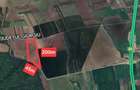 Terenuri Ciorogarla - 500mp -> 7.500mp -> 4 Ha - 13