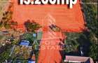 Teren intravilan de vanzare la Foeni, 13200 mp, front 24 m, Timis - 3
