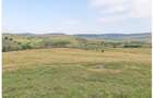 Teren Sercaia  250 ha - 9