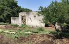 Vand teren agricol in Teleorman-Radoiesti/Cetate-Comision 0! Proprietar direct! - 6