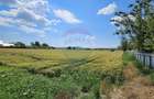 Teren 15,000mp Salcea-Prelipca, Suceava - 2
