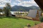 Casa de vacanta/pensiune cu teren de 3780mp | Clisura Dunarii - 10